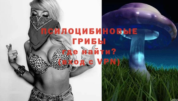 эйфоретик Балахна