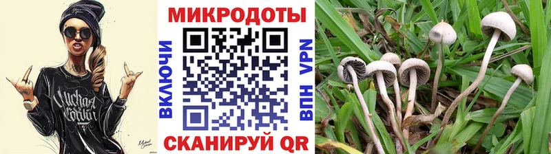 Галлюциногенные грибы MAGIC MUSHROOMS  Горячеводский 